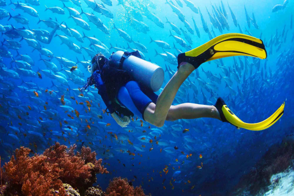Diving Image